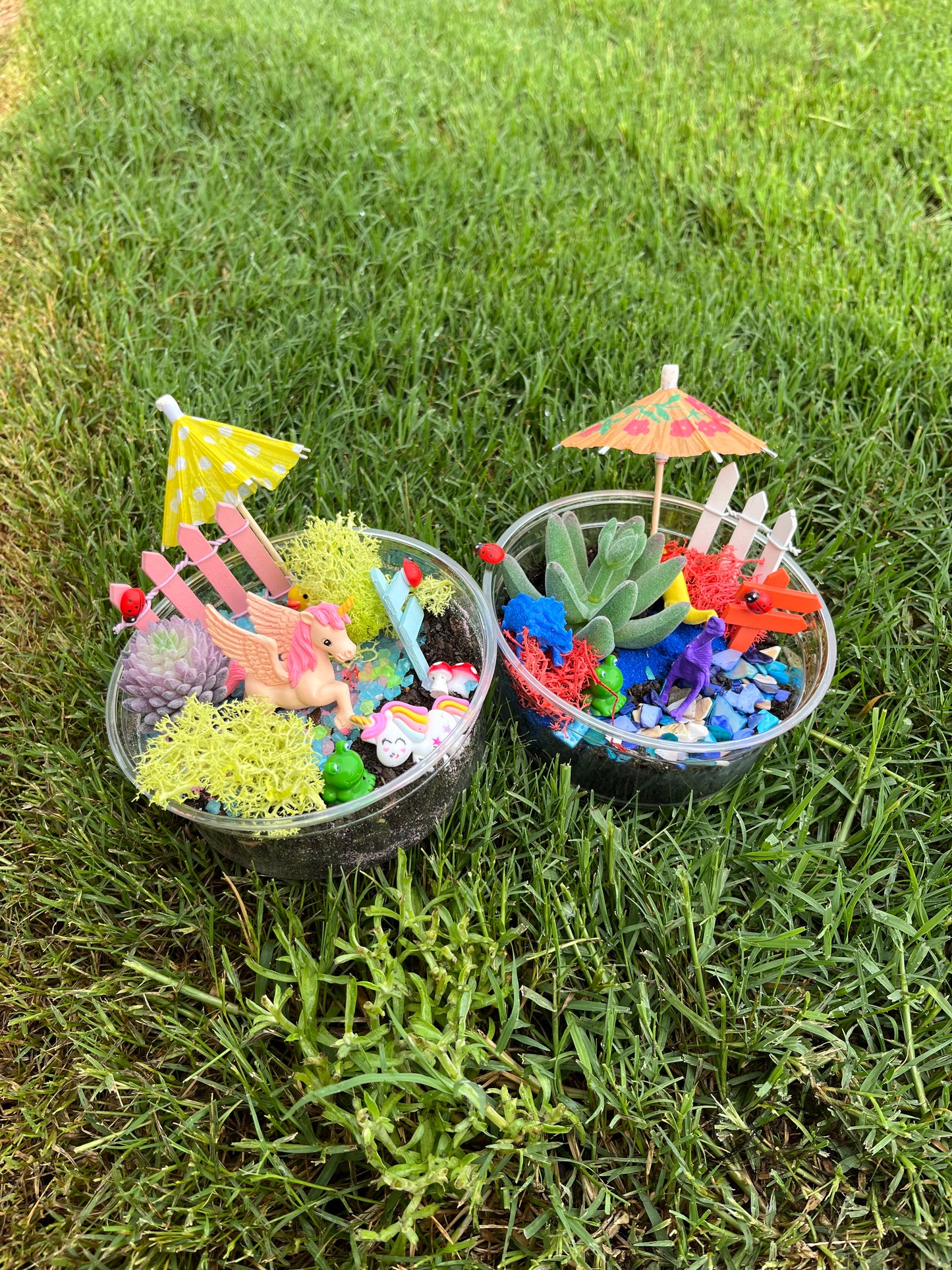 Unicorn Fairy Garden