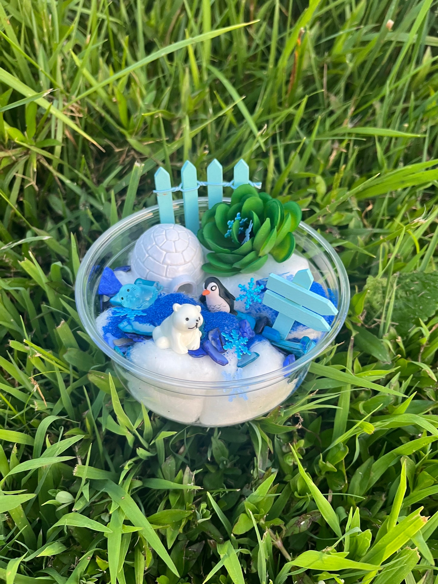 ARCTIC Fairy Garden